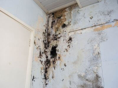About New York City Water Damage Restoration - water damage restoration near me experts in New York City